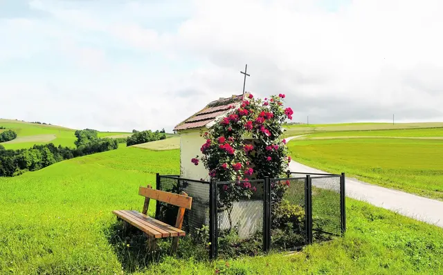 Gottes Gegenwart zeigt sich auch auf den Wegen unseres Urlaubs – manche dieser Erfahrungen gehen einher mit einer Decke aus Dornen.
