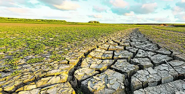 Der Klimawandel verursacht verstärkt extreme Wetterereignisse wie lang anhaltende Dürreperioden. | Foto: Adobe Stock /Bas Meelker