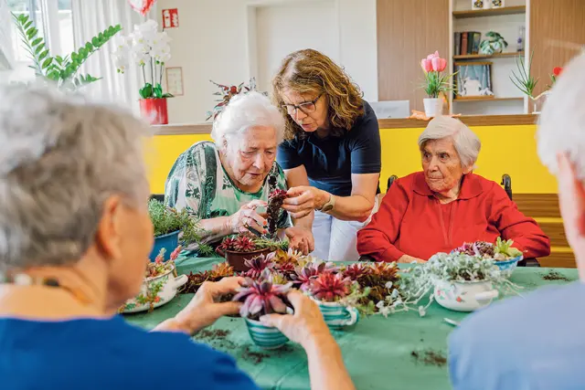 Hauswurzen einpflanzen: Bewohnerinnen des Pflegehauses St. Louise in Maria Anzbach arbeiten mit Martina Wels.  | Foto: Alek Kawka/BHS Pflege