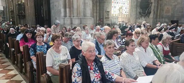 Feier im Wiener Stephansdom | Foto: Christian Zeitlberger