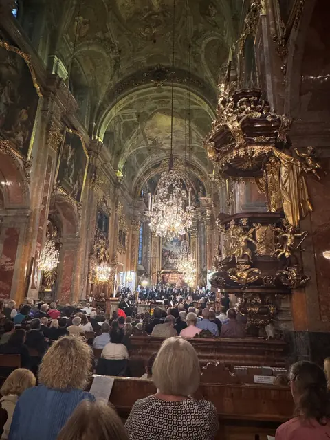 Fulminantes Konzert zum Auftakt von Musica Sacra im Dom zu St. Pölten. | Foto: Planitzer