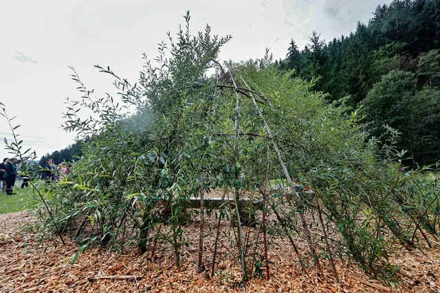 Foto: Gerd Neuhold / Sonntagsblatt für Steiermark