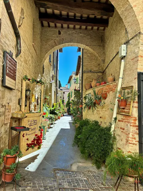 Foto: Gertraud Schaller-Pressler