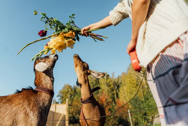 Foto: IRA_EVVA / iStock