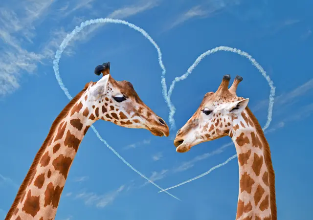 Foto: iStock