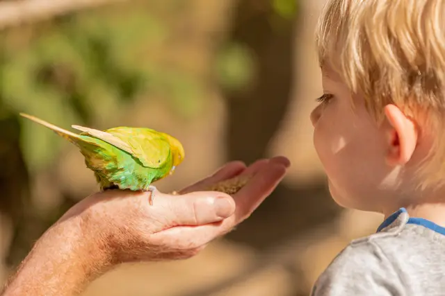 Durch das Zusammenleben mit Tieren lernen Kinder schon früh, Empathie und Verantwortung zu entwickeln. | Foto: pixabay