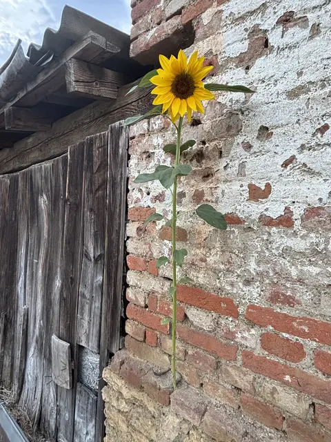 Foto: Klobassa