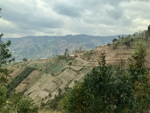 Grün und fruchtbar ist Burundi. Für seine 14 Mio. EinwohnerInnen bietet das Land, das nur so groß ist wie die Steiermark und Kärnten zusammen, dennoch zu wenig Nahrung.  | Foto: Steiner