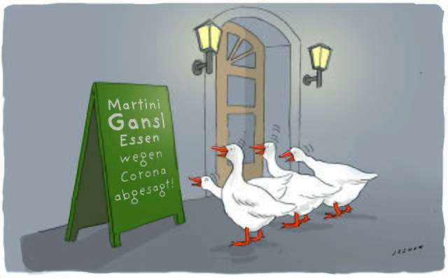 Was dem Menschen ein Elend, ist der Gans eine Freude: Wirtshaus-Lockdown zu St. Martin | Foto: Jesner