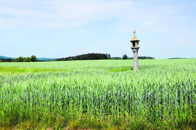 Ich bekleidete kirchliche Würden,
ich war am kaiserlichen Hof, 
ich war im Kloster. 
Und überall machte ich 
die Erfahrung, dass es 
nichts Besseres gibt, 
als ganz auf Gott 
ausgerichtet zu sein.
(hl. Norbert von Xanten, 1080/85–1143)
 | Foto: Patricia Harant-Schagerl
