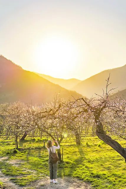 Im Blühen der Natur 
sehen wir Gottes Handschrift - 
ein buntes Versprechen 
von Hoffnung und Neubeginn. | Foto: Niederösterreich Werbung