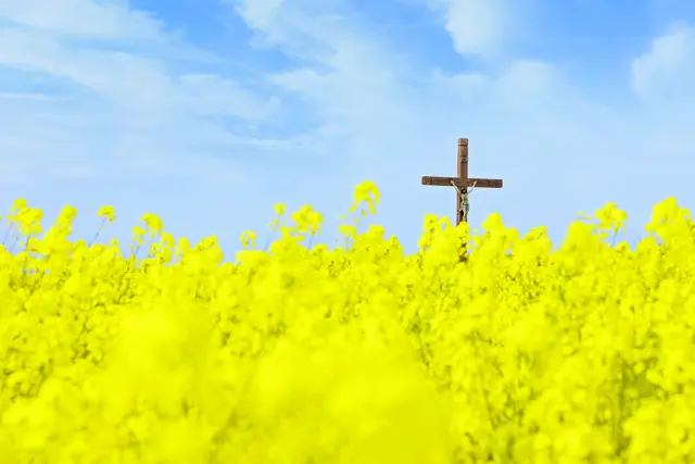1. Jesus, der die Seinen nicht 
als Waisen zurücklassen wollte.
2. Jesus, der seinen Jüngern einen 
anderen Beistand verheißen hat.
3. Jesus, der den Heiligen Geist wie 
einen Sturm vom Himmel gesandt hat.
4. Jesus, dessen Geist die Kirche 
durchweht und regiert.
5. Jesus, dessen Geist das
Innerste unseres Herzens erfüllt.

(Von Romano Guardini stammen diese fünf 
gesätze für das Rosenkranzgebet zu Pfingsten, 
die auch zu einer Pfingstnovene passen.)
 | Foto: Janusz Lipiński – stock.adobe.com