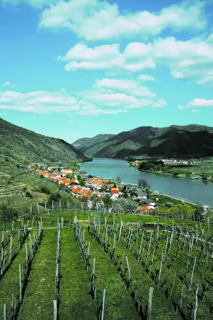 Lass Eintracht und Gerechtigkeit
in unserem Lande herrschen
und schenke uns allzeit Glück und Frieden.
(Zum Nationalfeiertag: Aus dem Tagesgebet der Messe Für Heimat und Vaterland)
 | Foto: Die Donau bei Krems. Foto: Aleksey Cherenkevich / unsplash